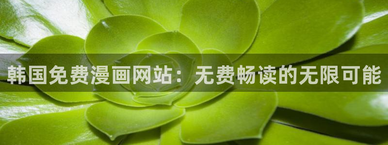 漫蛙2正版免费下载