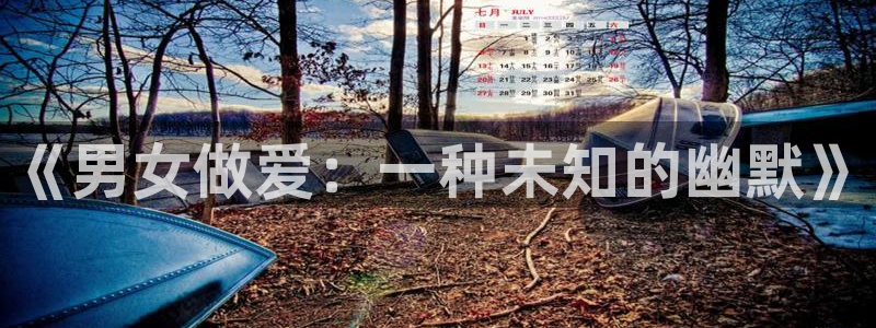 恶人想要抢救一下漫蛙：《男女做爱：一种未知的幽默》