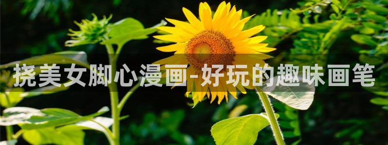 漫蛙漫画在线免费阅读：挠美女脚心漫画-好玩的趣味画笔