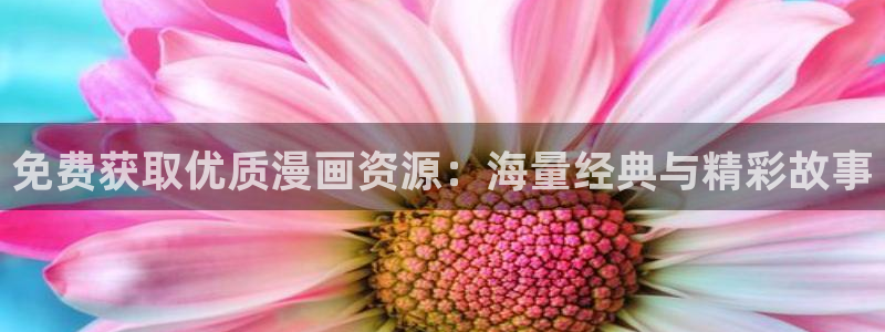 漫蛙2官网版：免费获取优质漫画资源：海量经典与精彩故事