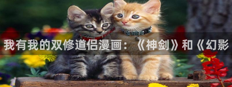 漫蛙漫画(网页入口)_漫蛙manwa1官网版_