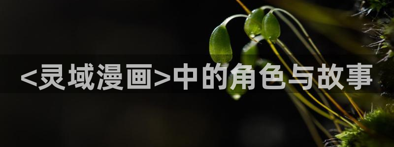 漫蛙网站怎么下载