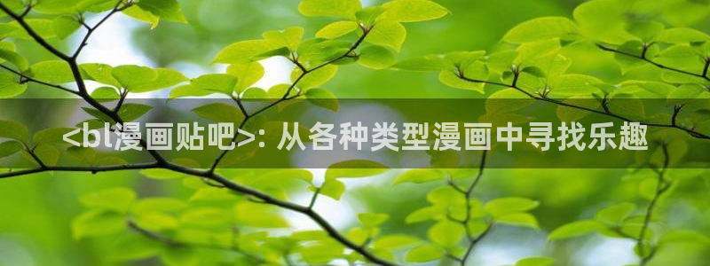 漫蛙2@