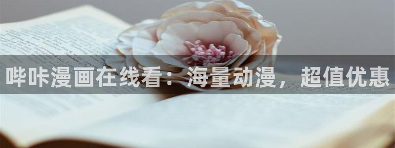漫蛙2ios版本