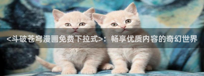 漫蛙27m