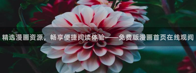 漫蛙manwa网站
