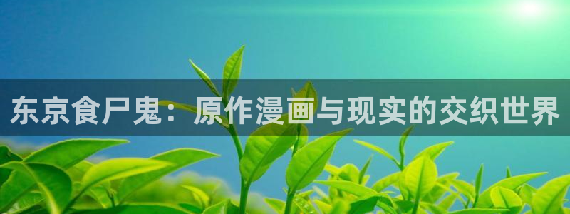漫蛙2app下载入口