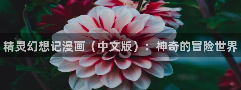 漫蛙漫画(网页入口)—漫蛙manwa官网版